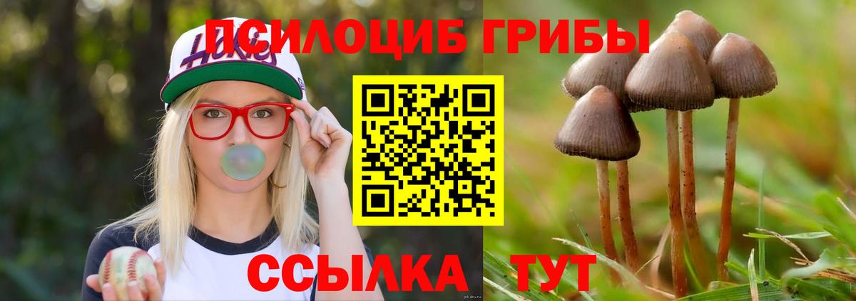 Славянск-на-Кубани  Галлюциногенные грибы мухоморы  Вход с VPN 